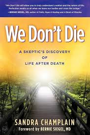 We Don't Die book cover, Buy online at TheBookX, India's trusted bookstore